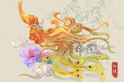双人紫微合盘详解|命盘|命盘显示夫妻变动|命命盘查询|命宫排盘