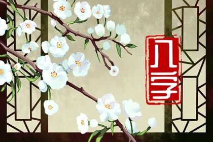 流年运势：动态视角