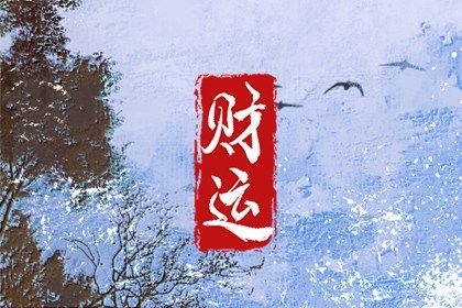 数字化排盘时代